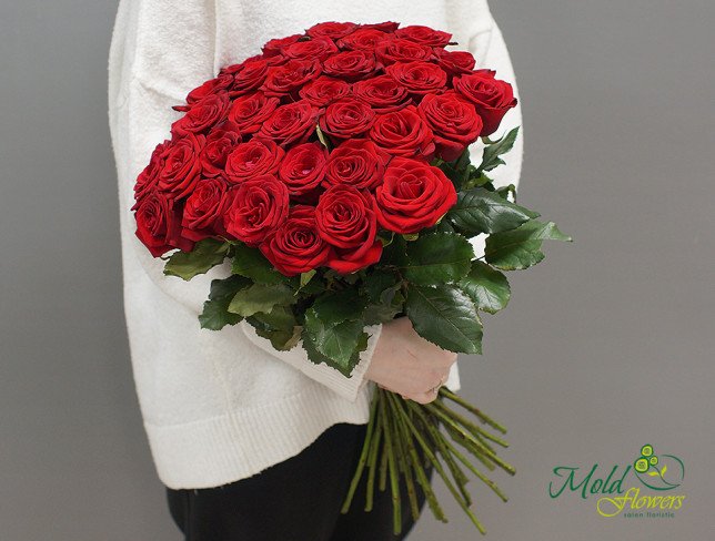 Trandafir roșu olandez 50-60 cm ( la comanda 5 zile) foto